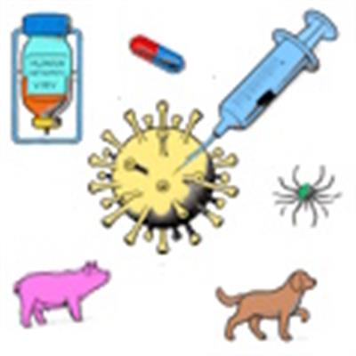 HMPV (Human Metapneumovirus) infection